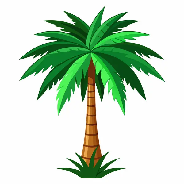 Beyaz zemin üzerinde bir palmiye ağacının düz bir vektör çizimi, palmiye ağacı çizimi ve çizimi