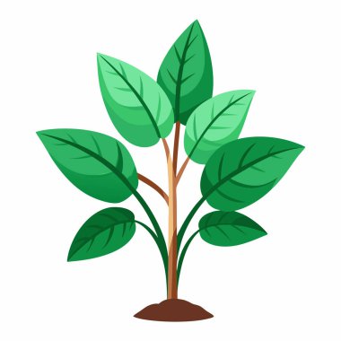 Yeşil yapraklı bir bitkinin büyüdüğünü gösteren bir resim..