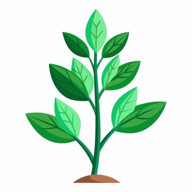 Yeşil yapraklı bir bitkinin büyüdüğünü gösteren bir resim..