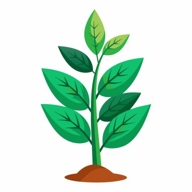 Yeşil bitkinin büyümesi, toprağın altında yetişen yeşil bitki, Beyaz Arkaplanda izole edilmiş Bitki Atışı Vektör İllüzyonu