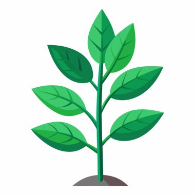 Yeşil bitkinin büyümesi, toprağın altında yetişen yeşil bitki, Beyaz Arkaplanda izole edilmiş Bitki Atışı Vektör İllüzyonu