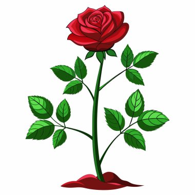 Beyaz arkaplanda çiçekli ve yeşil yapraklı bir çiçek.