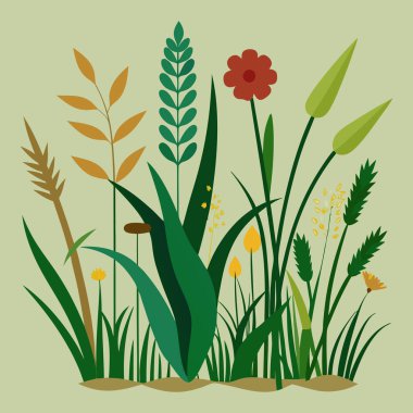 Yapraklı ve yapraklı yaz otları, bitkilerle izole edilmiş ot ve tıbbi malzemeler. Doğa manzarası, kırsal alan için dekorasyon, bahçe ya da meyve bahçesi, botanik bitkileri. Düz biçimli vektör