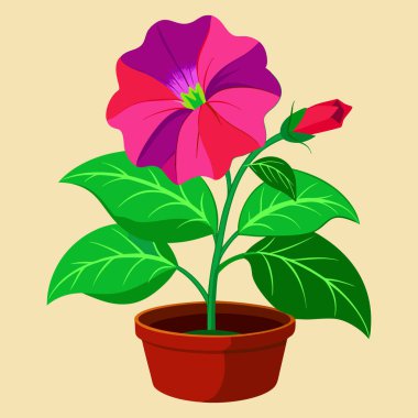 Basit Petunia grubu beyaz arka planda izole edilmiş. Pembe çiçekler ve çiçek açan bahçenin yeşil yaprakları. Botanik vektör düz illüstrasyon.