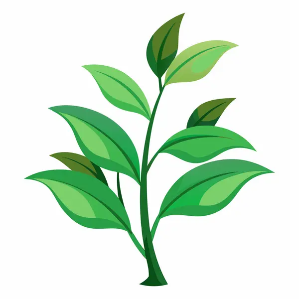 Yeşil bitkinin büyümesi, toprağın altında yetişen yeşil bitki, Beyaz Arkaplanda izole edilmiş Bitki Atışı Vektör İllüzyonu