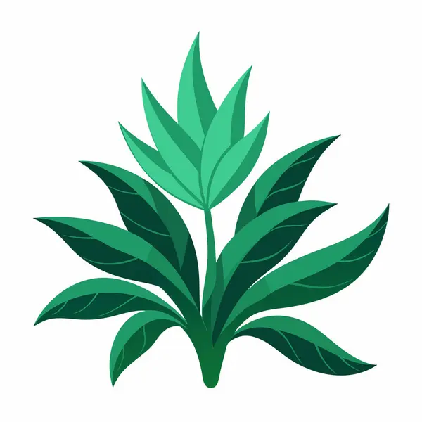 Yeşil bitkinin büyümesi, toprağın altında yetişen yeşil bitki, Beyaz Arkaplanda izole edilmiş Bitki Atışı Vektör İllüzyonu