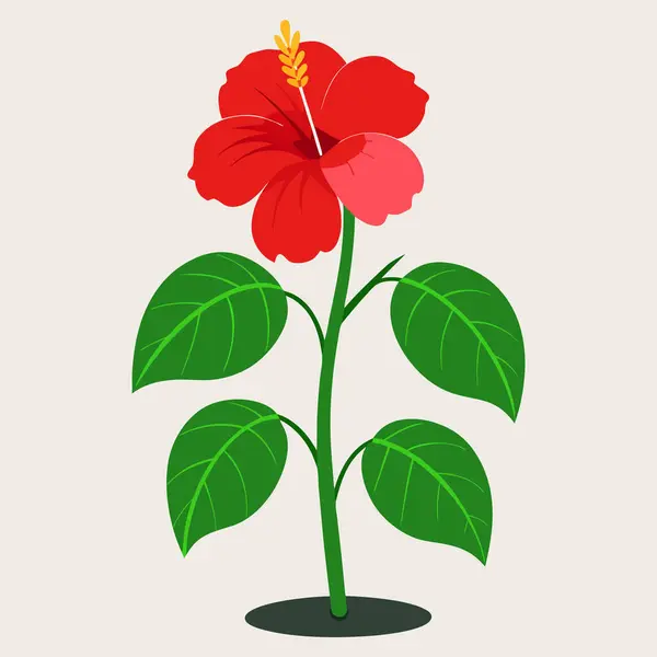 Çiçekli tropikal amber çiçeği resmi. Dekoratif egzotik bitki.