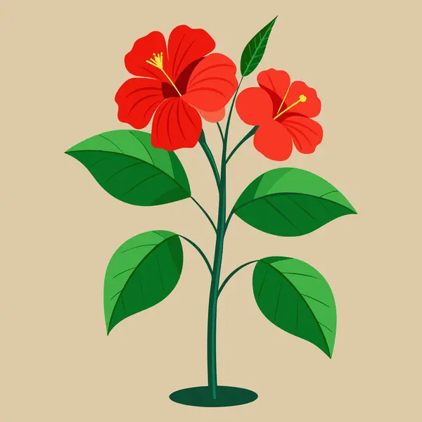 Çiçekli tropikal amber çiçeği resmi. Dekoratif egzotik bitki.