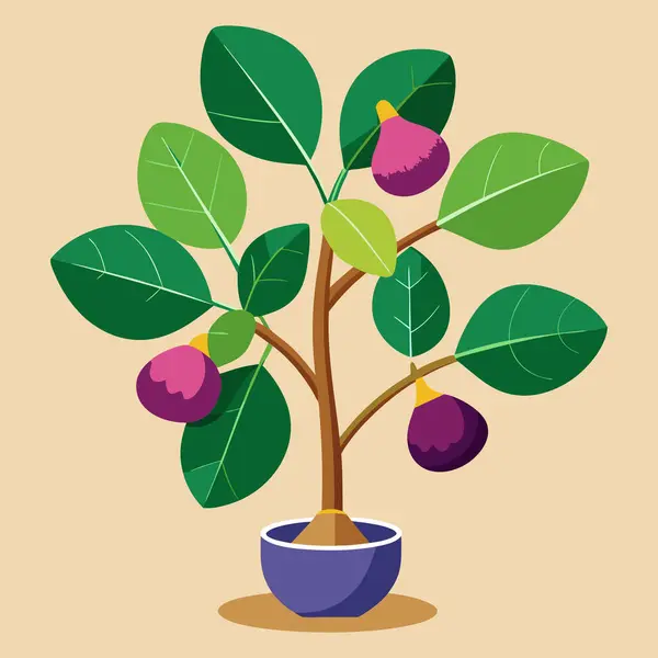 Meyve ağacının resmi, meyveli küçük bir bitki