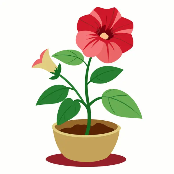  Çiçekli ve yeşil yapraklı petunya çiçekleri - Vektör illüstrasyonu