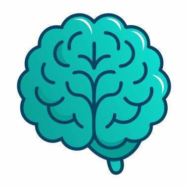 İnsan Beyninin Anatomik İllüstrasyonu