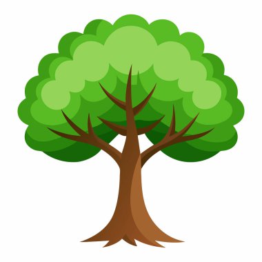 Beyaz Arkaplanda Ağaç Resimleri İzole Edildi: Botanik Projeleri için Egzotik Ağaç Resimleri