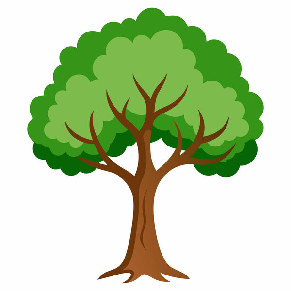 Tree Illustration Isolated on White Background