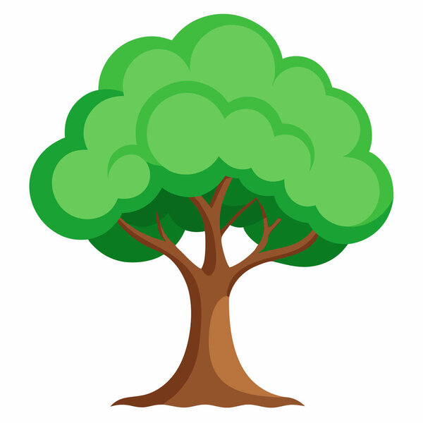 Иллюстрация дерева на белом фоне: Иллюстрация ботанических проектов на экзотическом дереве