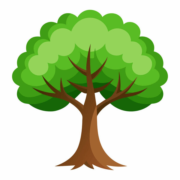 Иллюстрация дерева на белом фоне: Иллюстрация ботанических проектов на экзотическом дереве