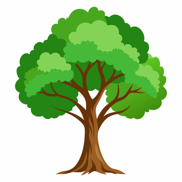 Tree Illustration Isolated on White Background | Exotic Tree Illustration for Botanical Projects