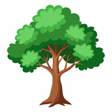 Beyaz Arkaplanda Ağaç Resimleri İzole Edildi: Botanik Projeleri için Egzotik Ağaç Resimleri