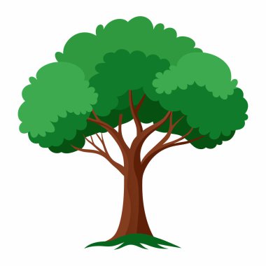 Beyaz Arkaplanda Ağaç Resimleri İzole Edildi: Botanik Projeleri için Egzotik Ağaç Resimleri