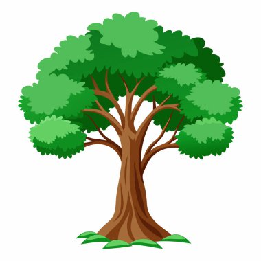 Beyaz Arkaplanda Ağaç Resimleri İzole Edildi: Botanik Projeleri için Egzotik Ağaç Resimleri