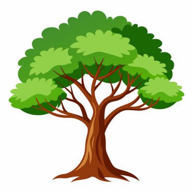 Beyaz Arkaplanda Ağaç Resimleri İzole Edildi: Botanik Projeleri için Egzotik Ağaç Resimleri