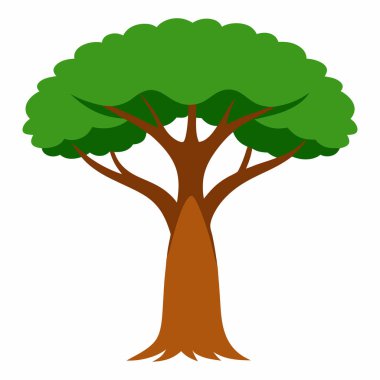 Baobab Ağacı İllüstrasyonu Beyaz Arkaplanda İzole Edildi, Sekoya Vektör Sanatı Beyaz Arkaplanda İzole Edildi