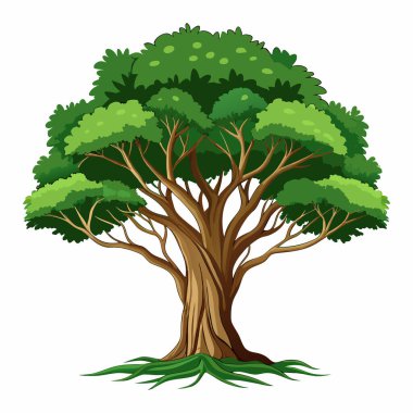 Görkemli Ağaç Resimleri Beyaz Arkaplan 'da izole edildi. Çizgi film Ağaç Resimleri Beyaz Arkaplanda izole edildi.