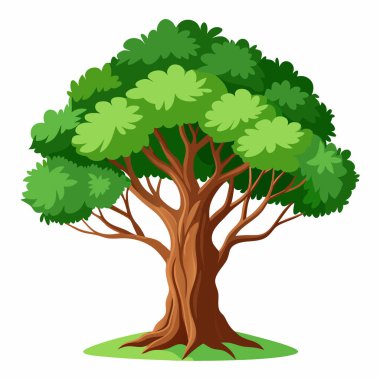 Görkemli Ağaç Resimleri Beyaz Arkaplan 'da izole edildi. Çizgi film Ağaç Resimleri Beyaz Arkaplanda izole edildi.