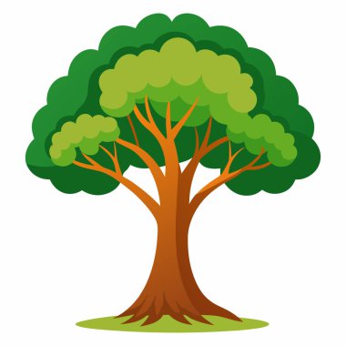 Görkemli Ağaç Resimleri Beyaz Arkaplan 'da izole edildi. Çizgi film Ağaç Resimleri Beyaz Arkaplanda izole edildi.