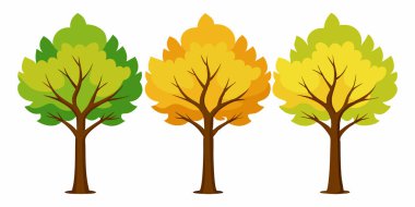 Beyaz Arkaplan 'da izole edilmiş Ağaç Resimleri; Beyaz Arkaplan' da izole edilmiş Çizgi Ağaç Resimleri