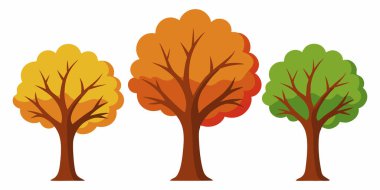 Beyaz Arkaplan 'da izole edilmiş Ağaç Resimleri; Beyaz Arkaplan' da izole edilmiş Çizgi Ağaç Resimleri