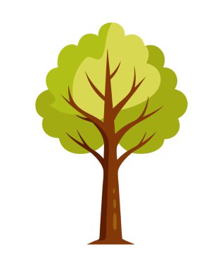 Görkemli Ağaç Resimleri Beyaz Arkaplan 'da izole edildi. Çizgi film Ağaç Resimleri Beyaz Arkaplanda izole edildi.