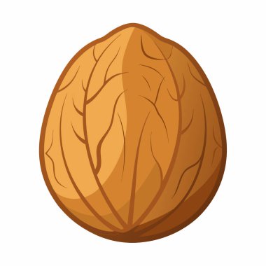 beyaz arkaplanda izole edilmiş ceviz