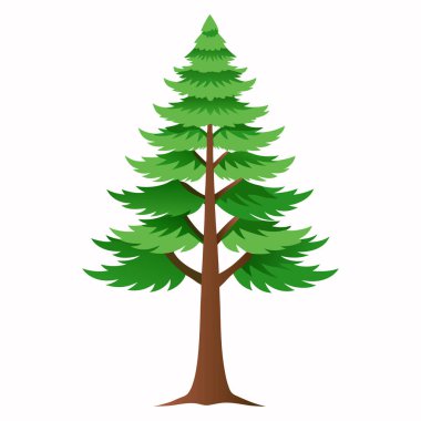 Çam Ağacı İllüstrasyonu Beyaz Arkaplanda İzole Edildi, Doğanın Tasarımı İçin Uzun Ağaç Vektör Sanatı