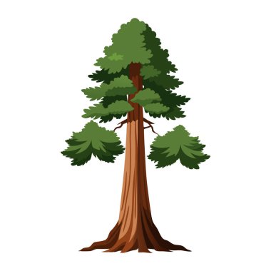 Gerçekçi Dev Ağaç Grafiği Beyaz Üzerine İzole Edildi