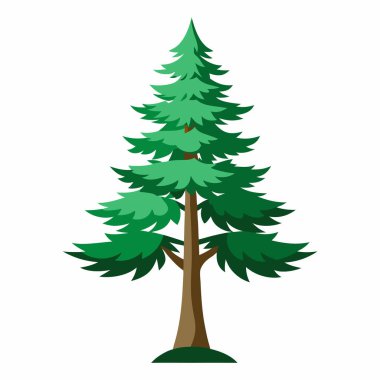 Çam Ağacı İllüstrasyonu Beyaz Arkaplanda İzole Edildi, Doğanın Tasarımı İçin Uzun Ağaç Vektör Sanatı