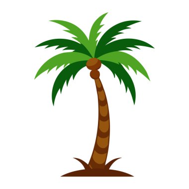 Botanik Projeleri için Uzun Palmiye Ağaçları Çizimi