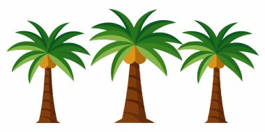 Beyaz Arkaplanda Yağ Palmiyesi Resimleri İzole Edildi