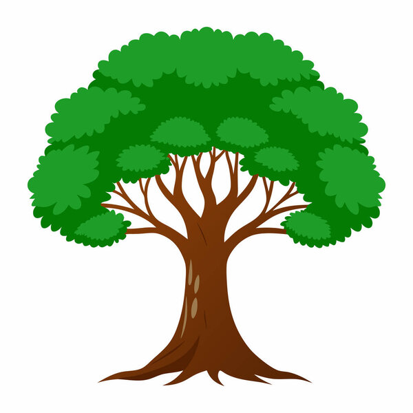 Tree Illustration Isolated on White Background | Exotic Tree Illustration for Botanical Projects