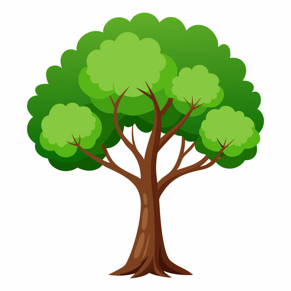 Tree Illustration Isolated on White Background | Exotic Tree Illustration for Botanical Projects