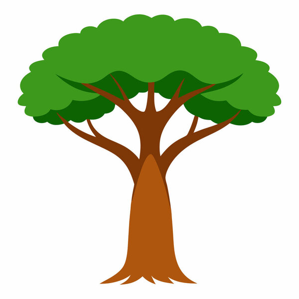 Baobab Tree Illustration Isolated on White Background |  Redwoods Vector Artwork Isolated on White