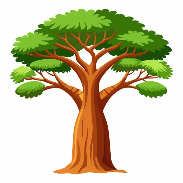 Baobab Ağacı İllüstrasyonu Beyaz Arkaplanda İzole Edildi, Sekoya Vektör Sanatı Beyaz Arkaplanda İzole Edildi