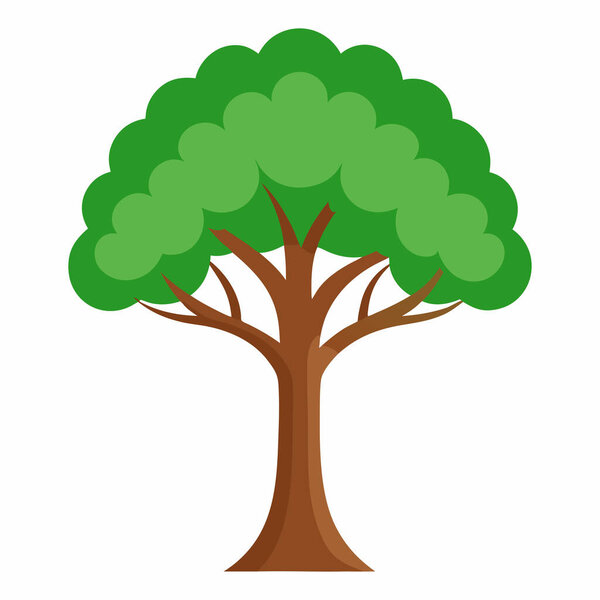 Tall Forest Tree Vector Artwork for Nature Design