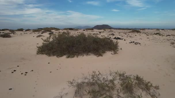 Fuerteventura Canarische Eilanden Woestijn Langs Kust — Stockvideo