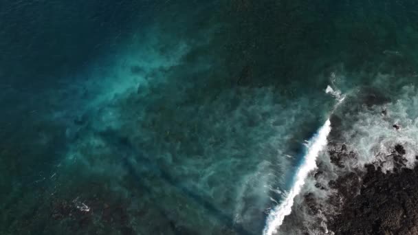 Fuerteventura Kanarische Insel Corralejo Spanien Luftbild Ansicht — Stockvideo