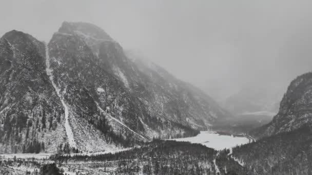 空中无人俯瞰山谷 秋天的森林 意大利白云山 高质量的4K镜头 — 图库视频影像