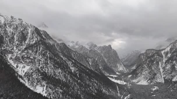 空中无人俯瞰山谷 秋天的森林 意大利白云山 高质量的4K镜头 — 图库视频影像