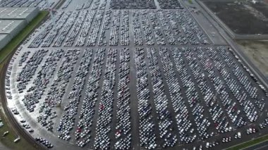 Zeebrugge limanında yeni arabalar için park etmek. Otomobil ve otomotiv endüstrisi lojistik küresel taşımacılık