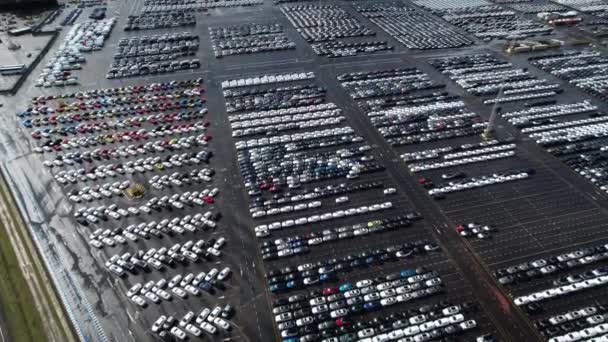 Parking Pour Voitures Neuves Dans Port Zeebrugge Automobile Automobile Distribution — Video