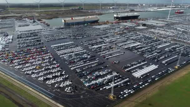 Parkplatz Für Neuwagen Hafen Von Zeebrugge Automobil Und Automobilindustrie Distributionslogistik — Stockvideo