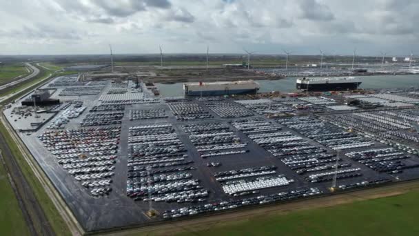 Parcheggio Auto Nuove Nel Porto Zeebrugge Automobile Industria Automobilistica Distribuzione — Video Stock